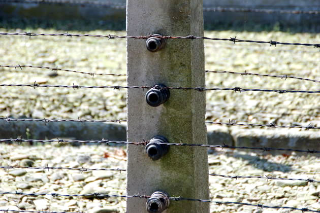 Detalle de las alambradas