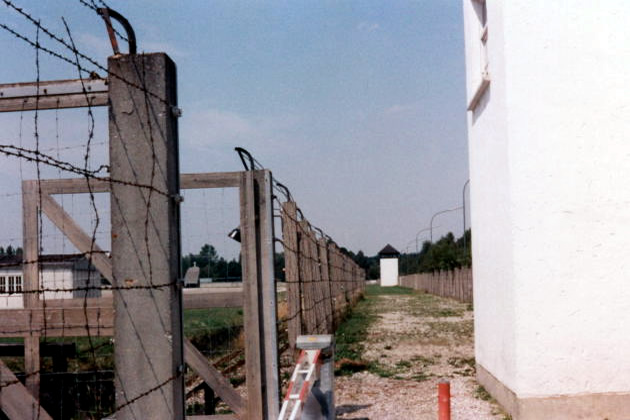Detalle de las alambradas