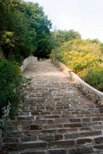 Escaleras hacia la cantera del campo